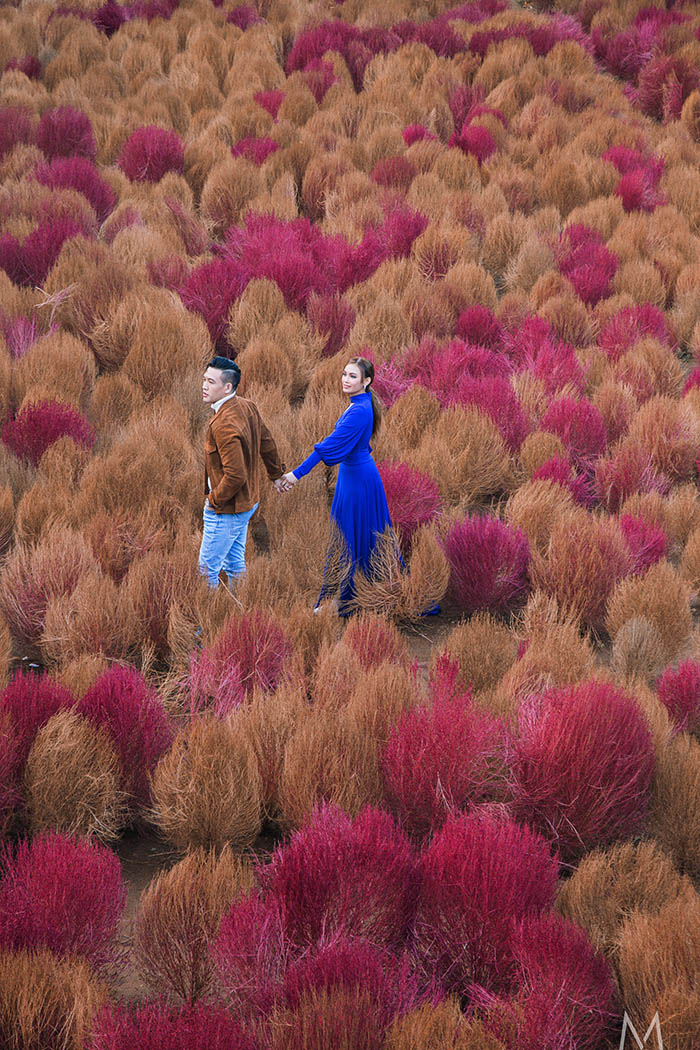 South Korea pre-wedding engagement photos